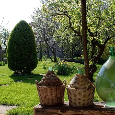 Delbia - Il Sogno 3*