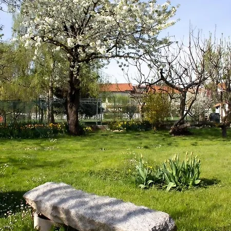 Delbia - Il Sogno Candelo