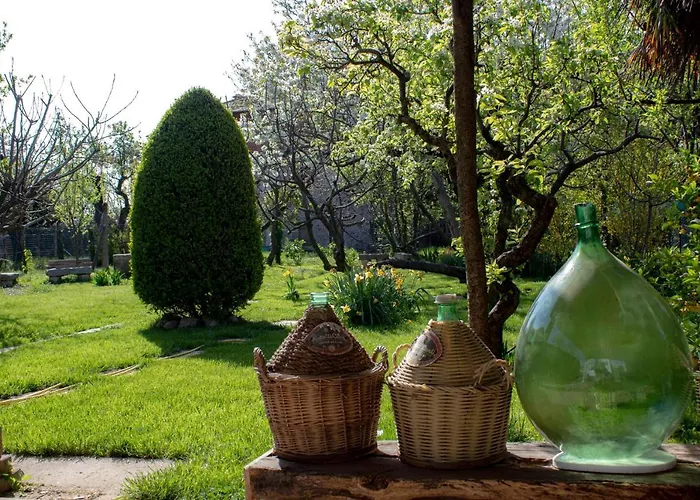 Delbia - Il Sogno 3*